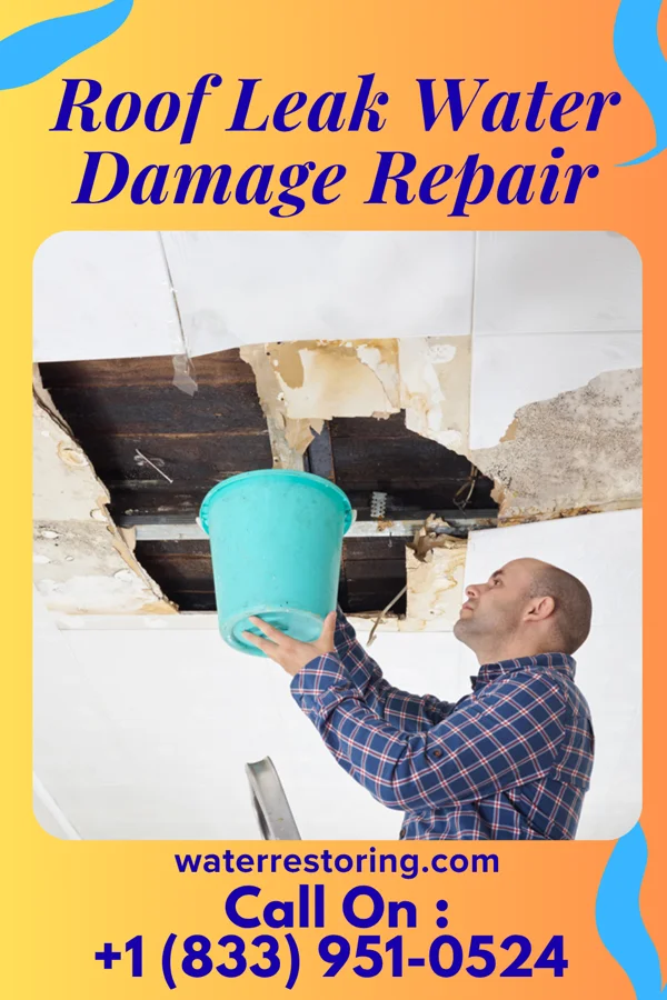 Roof Leak Water Damage Repair in Glencoe, LA